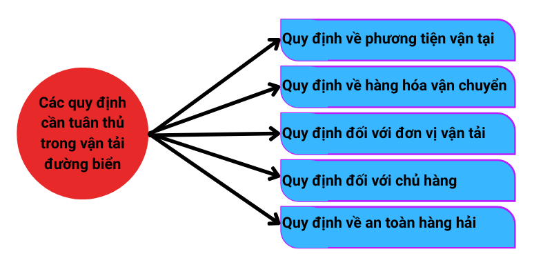 Các quy định cần tuân thủ khi tham gia dịch vụ vận tải đường biển
